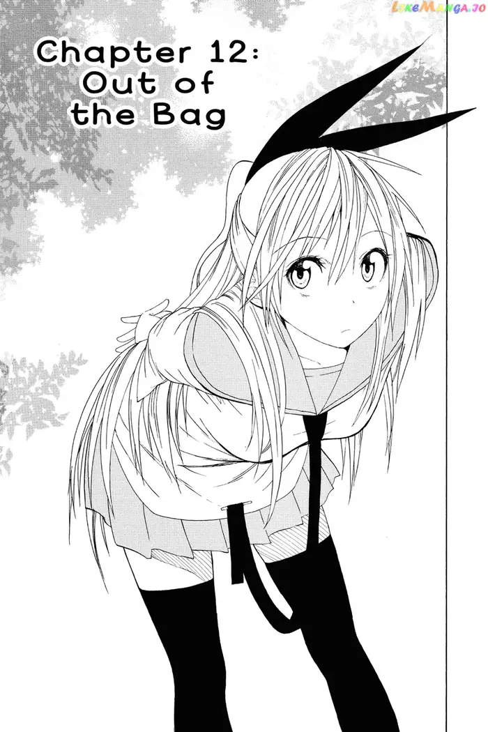 Nisekoi Chapter 12 image 01_optimized